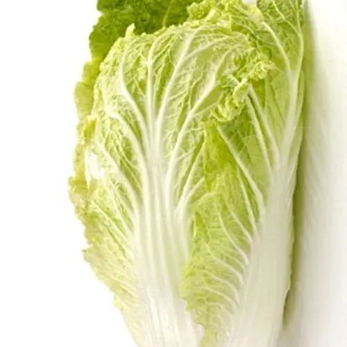 Green Cabbages Fresh organic cabbages From VietNam