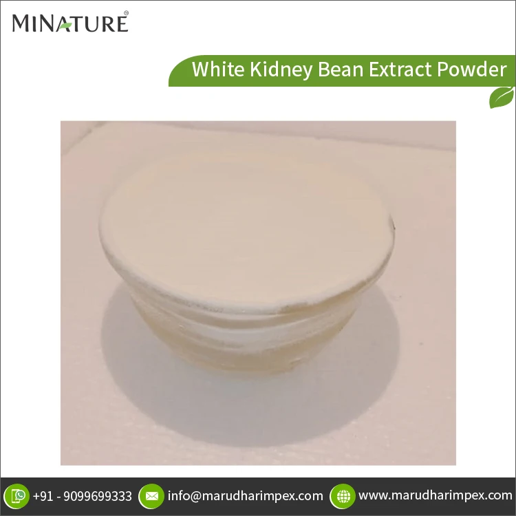 Лидер продаж лучшее качество оптовая продажа чистый натуральный порошок экстракта белой фасоли от индийского поставщика