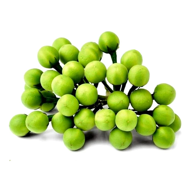 
High Quality Pea Eggplant for Sale with Export Standard 