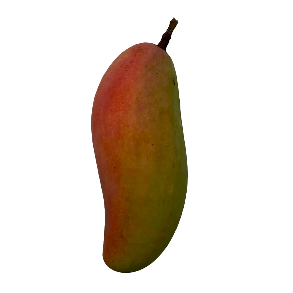 Premium and High Quality Fresh Premium Grade Mangoes Fruit Box Packing Quality Selecting for Consuming Mahachanok Mangoes.