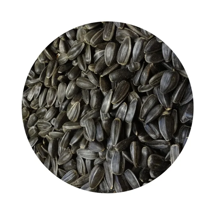Black Sunflower Kernel 100% Raw 43+ Sunflower Seeds Russian Origin
