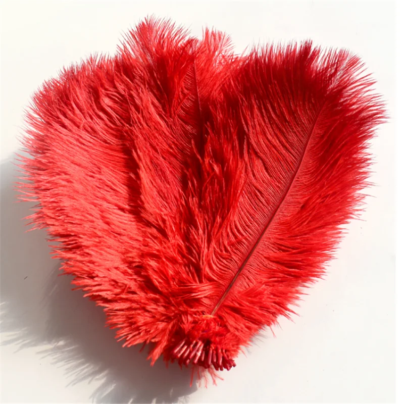 
EXCELLENT QUALITY BIRD FEATHERS 