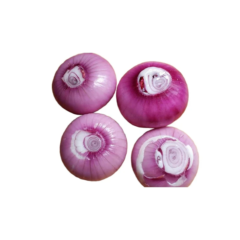 Best Quality Wholesale Chinese New Season Fresh Vegetables Red Onions Prices (10000002863922)