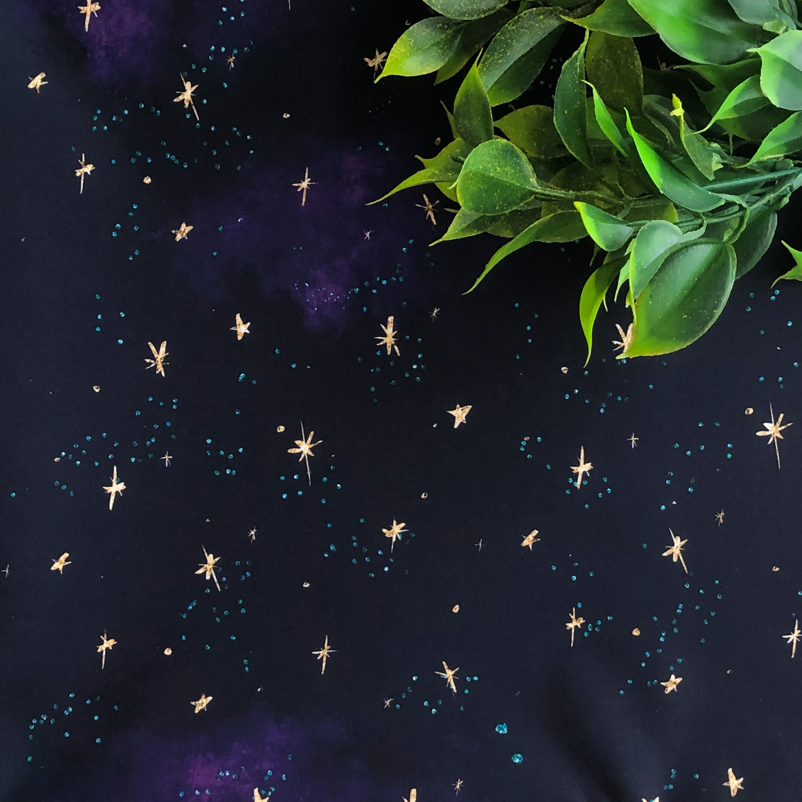 Pleasant to Touch Soft Not Rustling Jacket Fabric Dewspo Density 85 g / sq.m 100% Polyester Printing Service