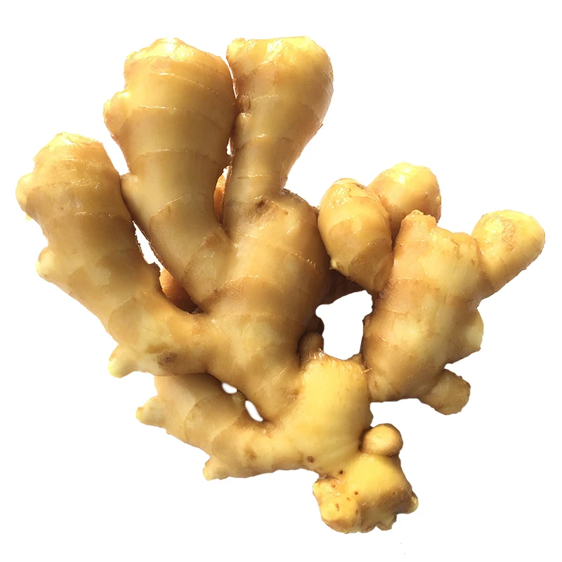 
Export chinese fresh red ginger is crazy and uping every day 