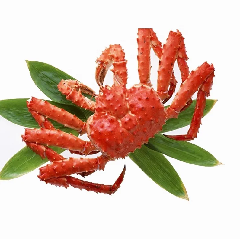 Cheap Price Live Red King Crab Norwegian King Crab Alaskan King Crab