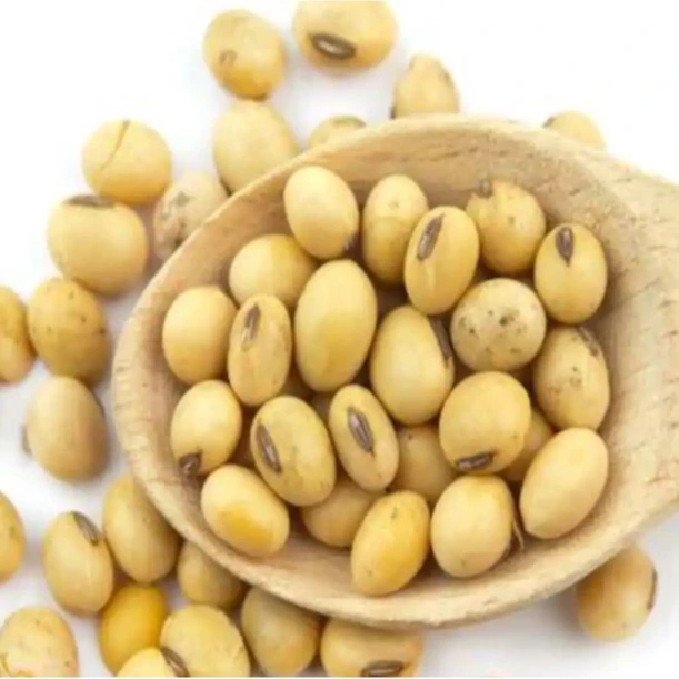 Soybeans - Soybeans High Quality Non GMO Yellow Dry Soybean Seed NON-GMO Soya Beans /soya Bea