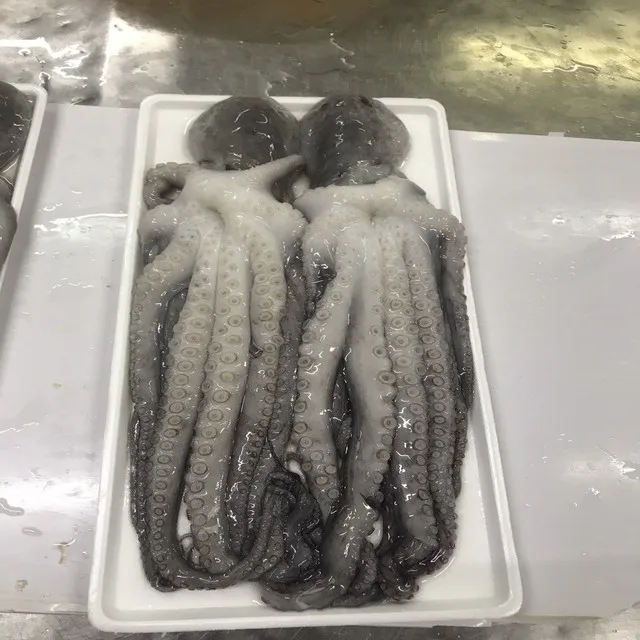 
FROZEN CUT POULP SQUID FROM VIET NAM 