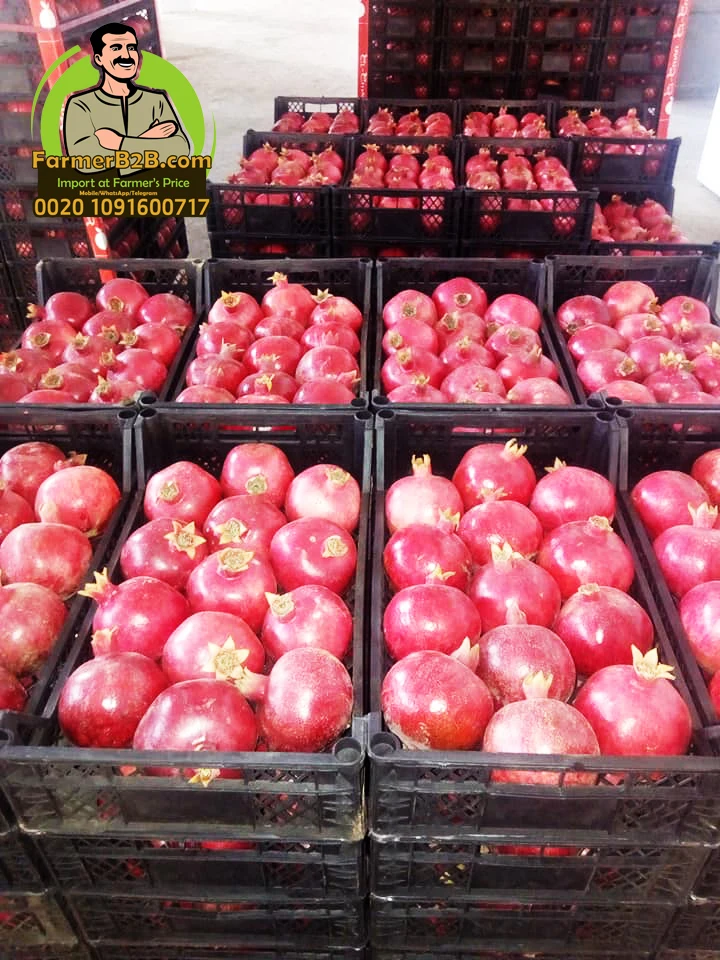 Свежие гранатовые фрукты премиум-класса wonderful-116 (Непревзойденная цена)