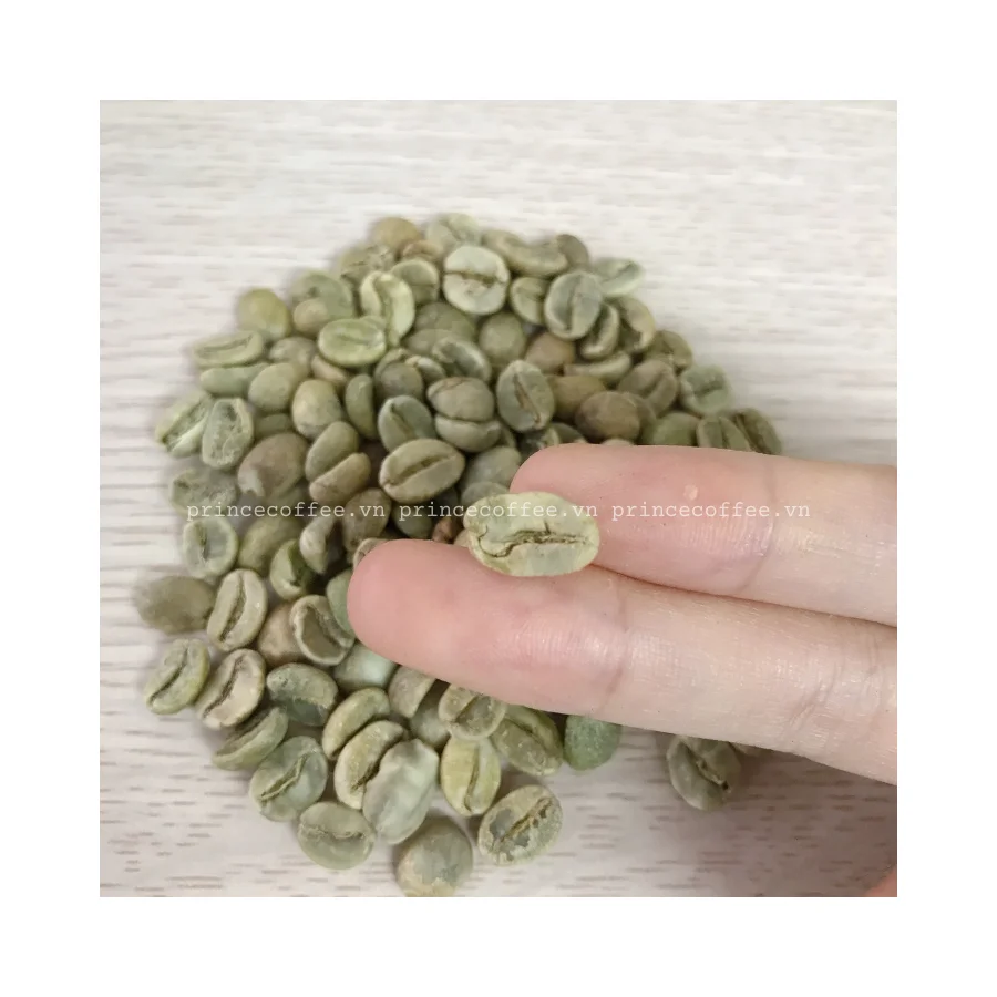 Вьетнамский кофе 100% зеленые кофейные зерна оптовая продажа зеленый в зернах Arabica