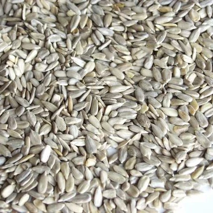 
Confectionery Grade Sunflower Seeds Kernel and Bakery Grade for Supply. 