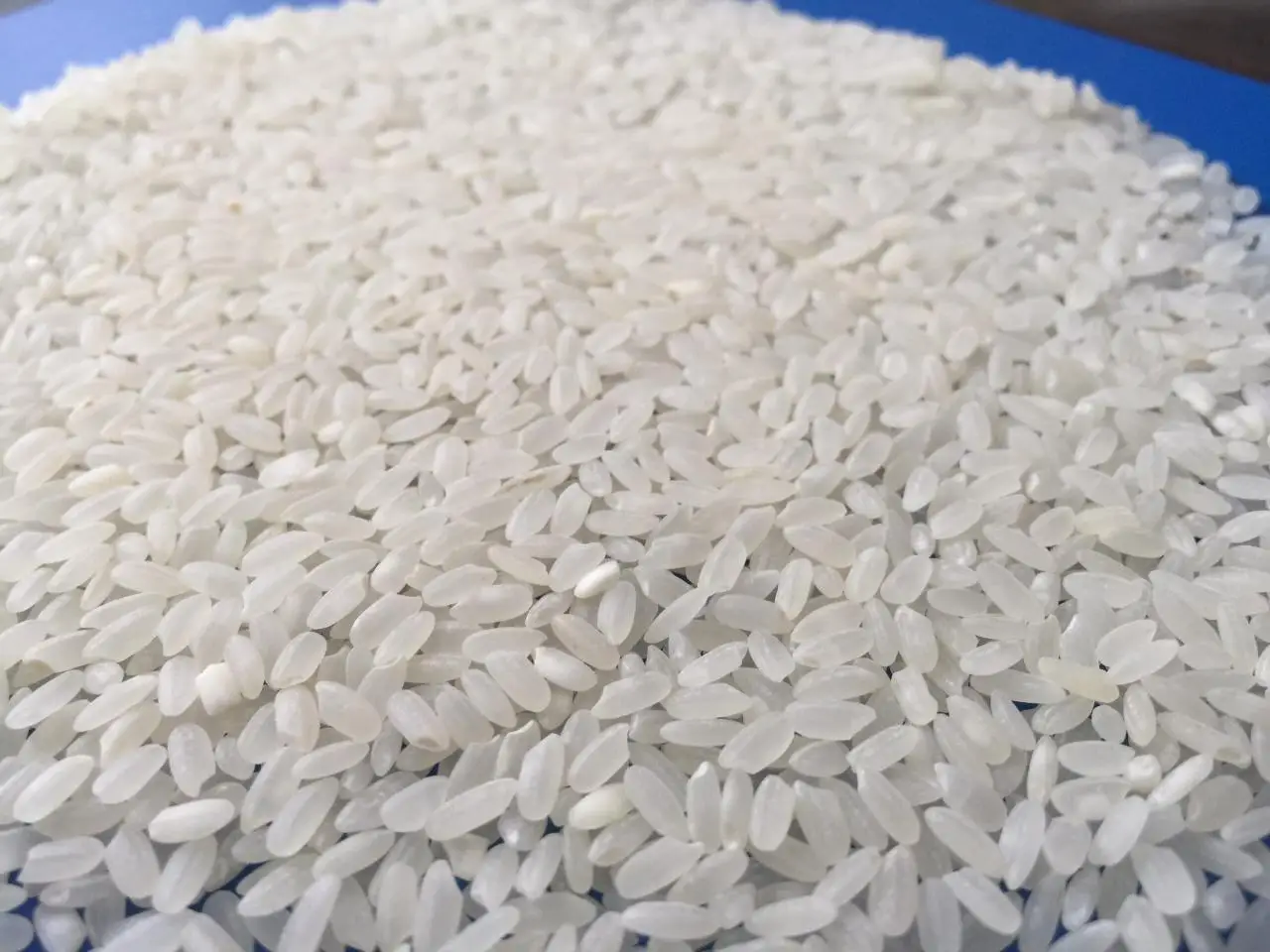 Египетский рис среднего и короткого зерна 100% Очистка по самой низкой цене