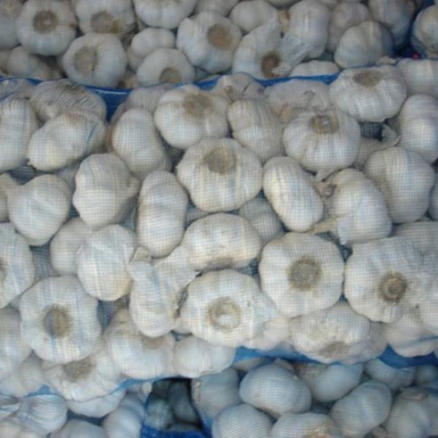 dry white & Purple  Garlic for export 2019