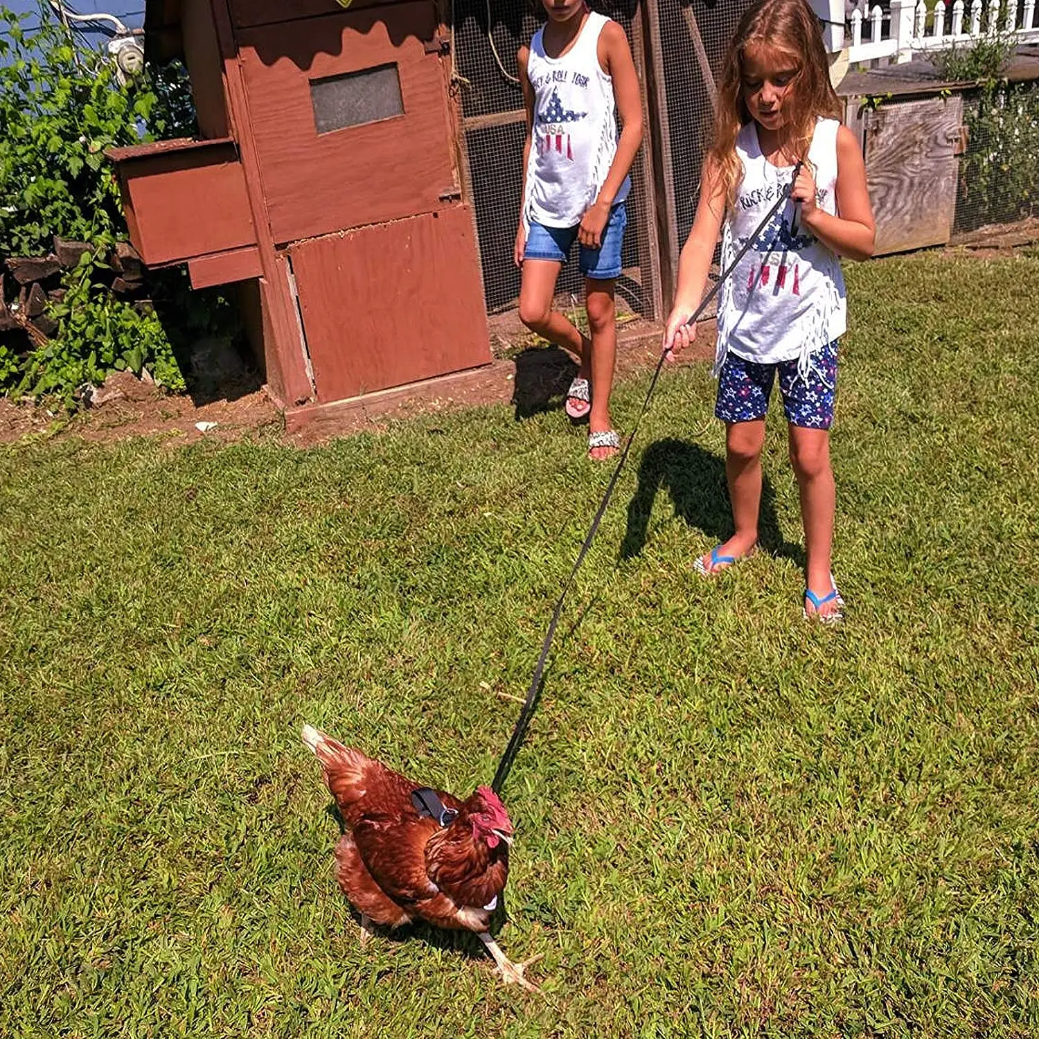 Pet Goose Duck Mesh Harness Breathable Chicken Vest Harness with leash For Walking Training