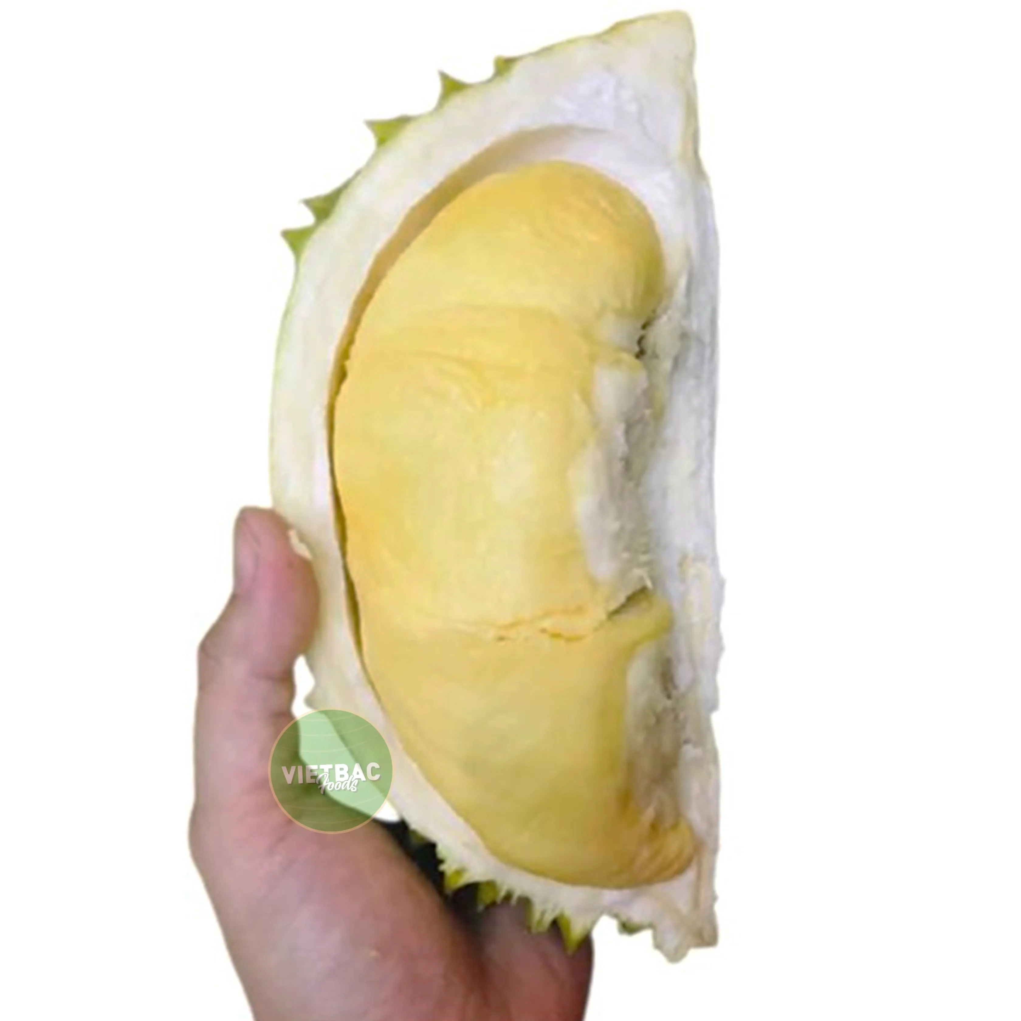 
best sell fresh frozen durian meat premium 