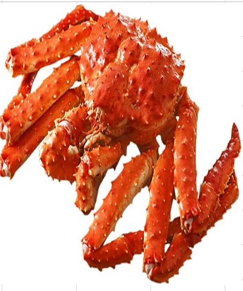 Fresh/Frozen/Live Red King Crabs, Dungeness Crab, Blue Crabs & Snow Crabs