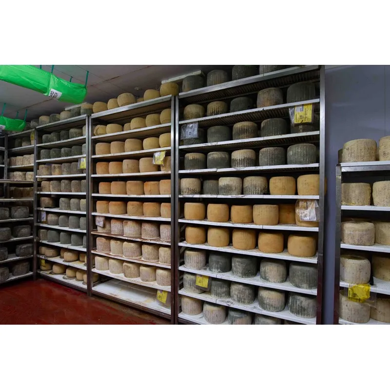 High Quality Made in Italy Caciottella semi-hard cheese with truffle 6kg vacuum pack Ready for export