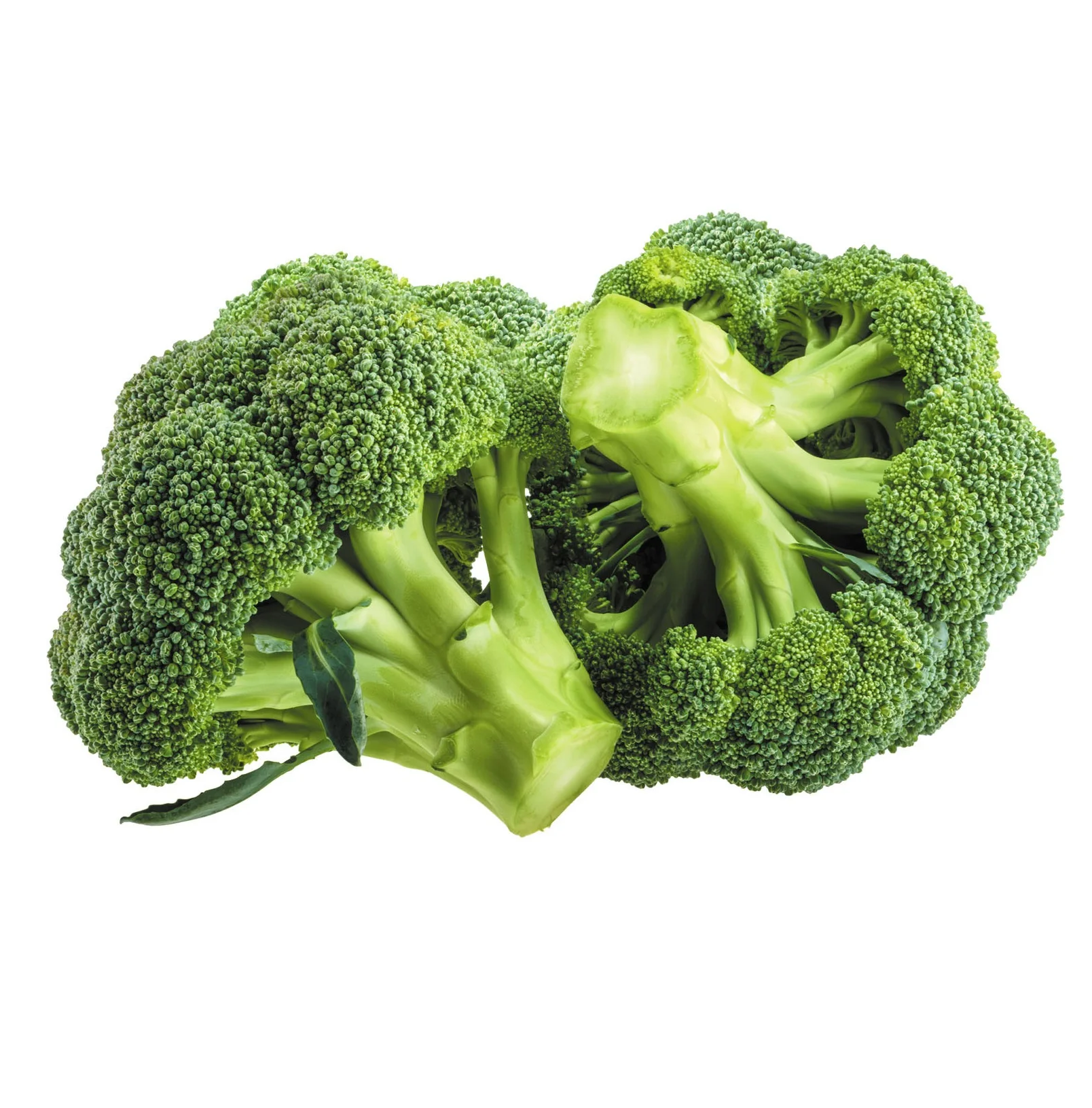 Wholesale Best Quality Fresh Broccoli For Sale In Cheap Price (11000002082641)
