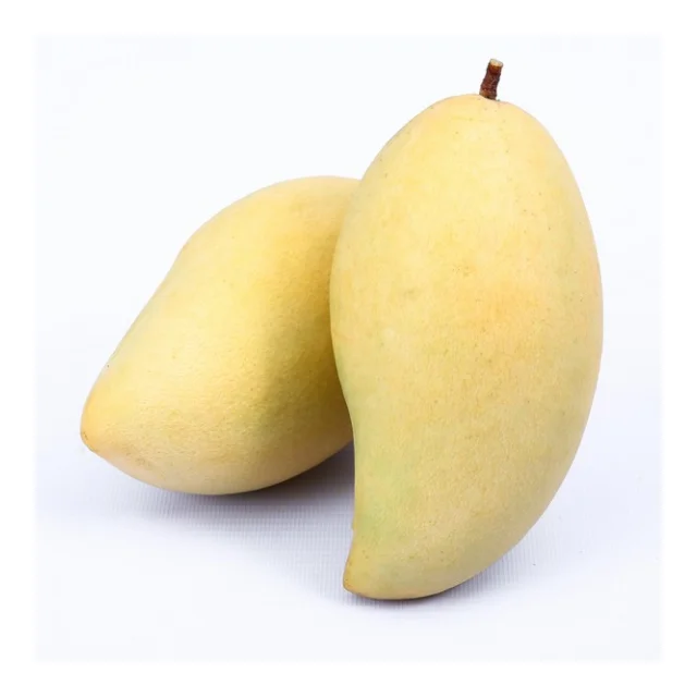 Fresh mangos Sweet Taste (Namdokmai mango) - Thailand origin premium grade100% High Quality Fresh Fruit