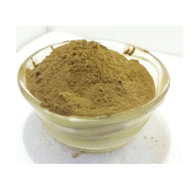 Customized Packaging 100% Pure Most Selling Turkey Tail Mushroom Extract Powder from Top Supplier