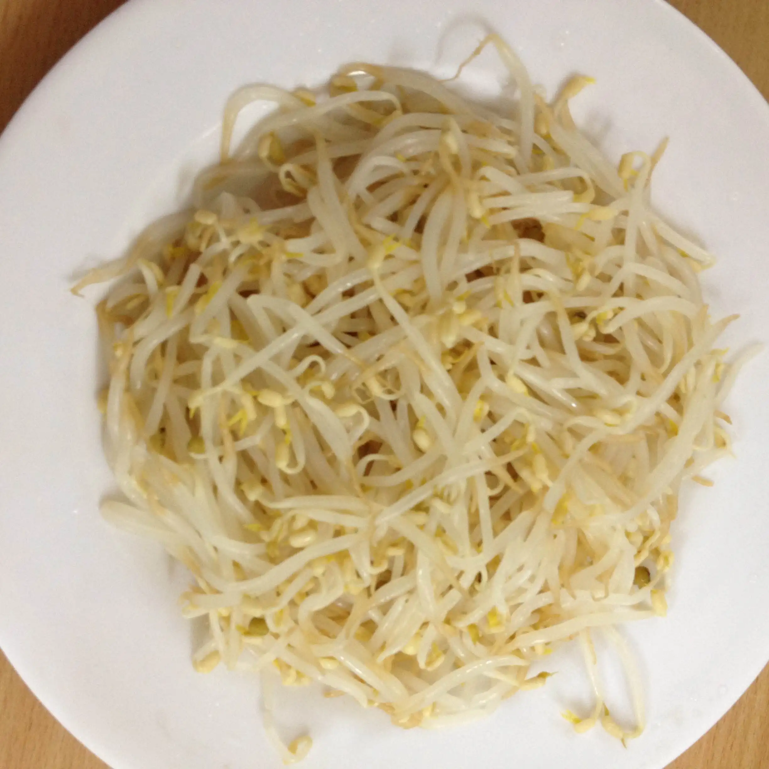 VIETNAM VEGETARIAN MUNG Bean SPROUT CANNED PICKLED GREEN in 3000GR 3KG 3100ML A10 Tin CRUNCHY TASTE Steamed Vinegar 0.3 Kg Sour