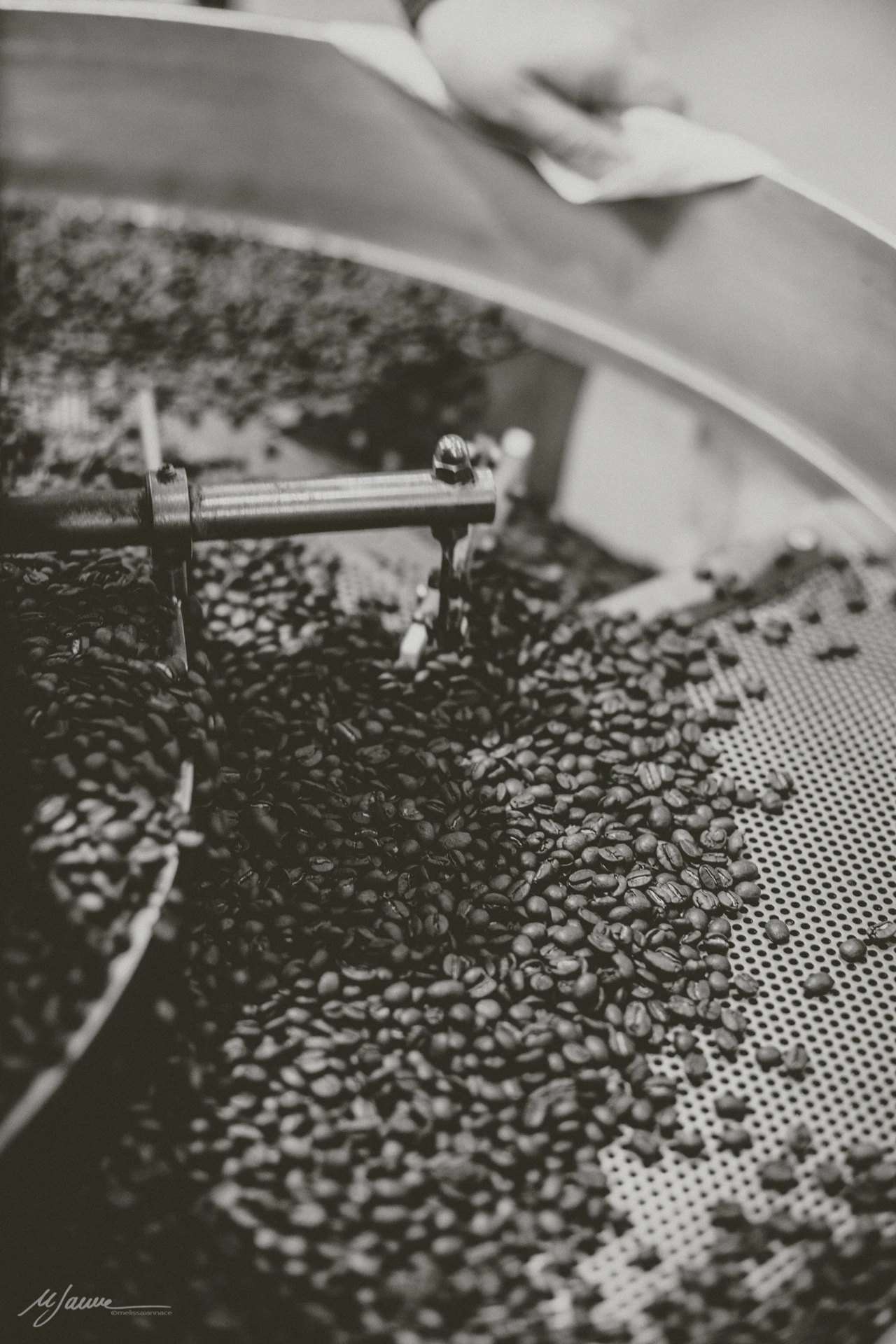 Высококачественный Итальянский молотый кофе 250 г, Собственная этикетка, обслуживание, свежие запасы, спрос на продукцию-me AMA Monello