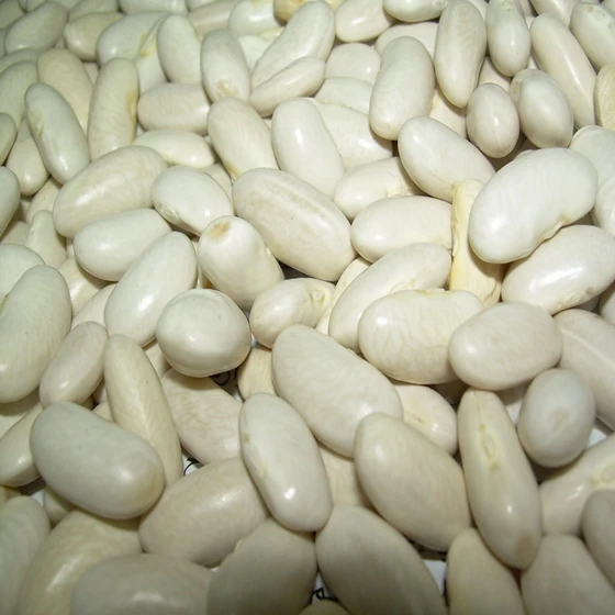 Lima Beans at wholesale prices