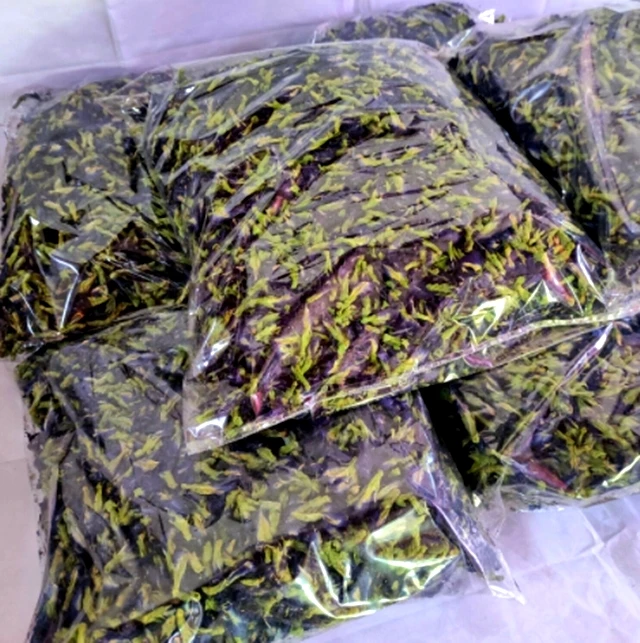 Dried Butterfly Pea Flower Tea Nature Natural Organic Premium Quality Blue Food Product of Thailand 500 g/bag