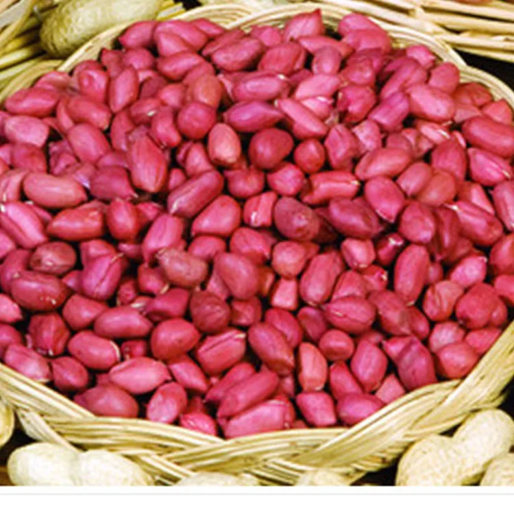 Delicious Fresh Raw Kernel Peanuts With Vacuum Packing Bags From China Manufacturer