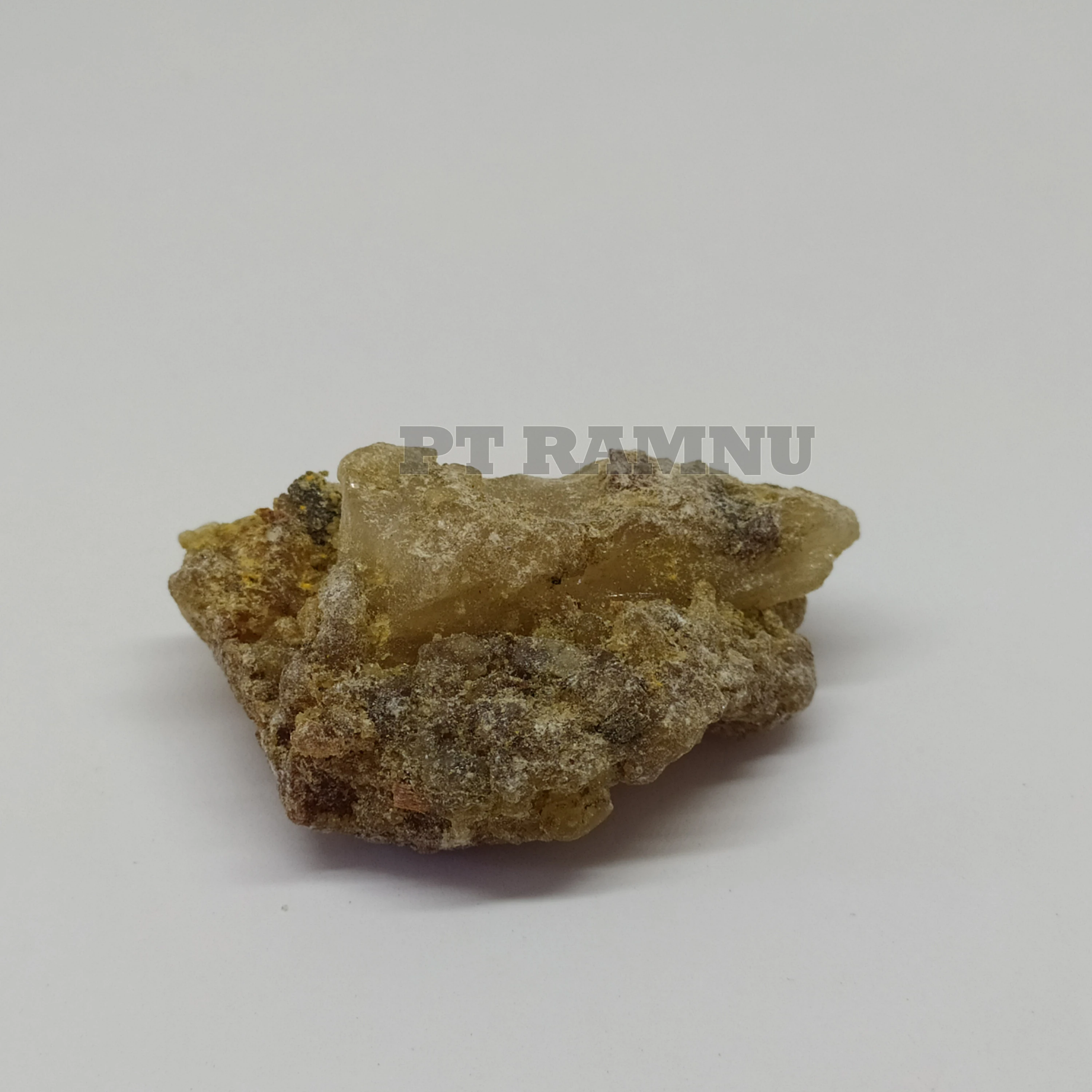 
Gum Copal WS from Indonesia 