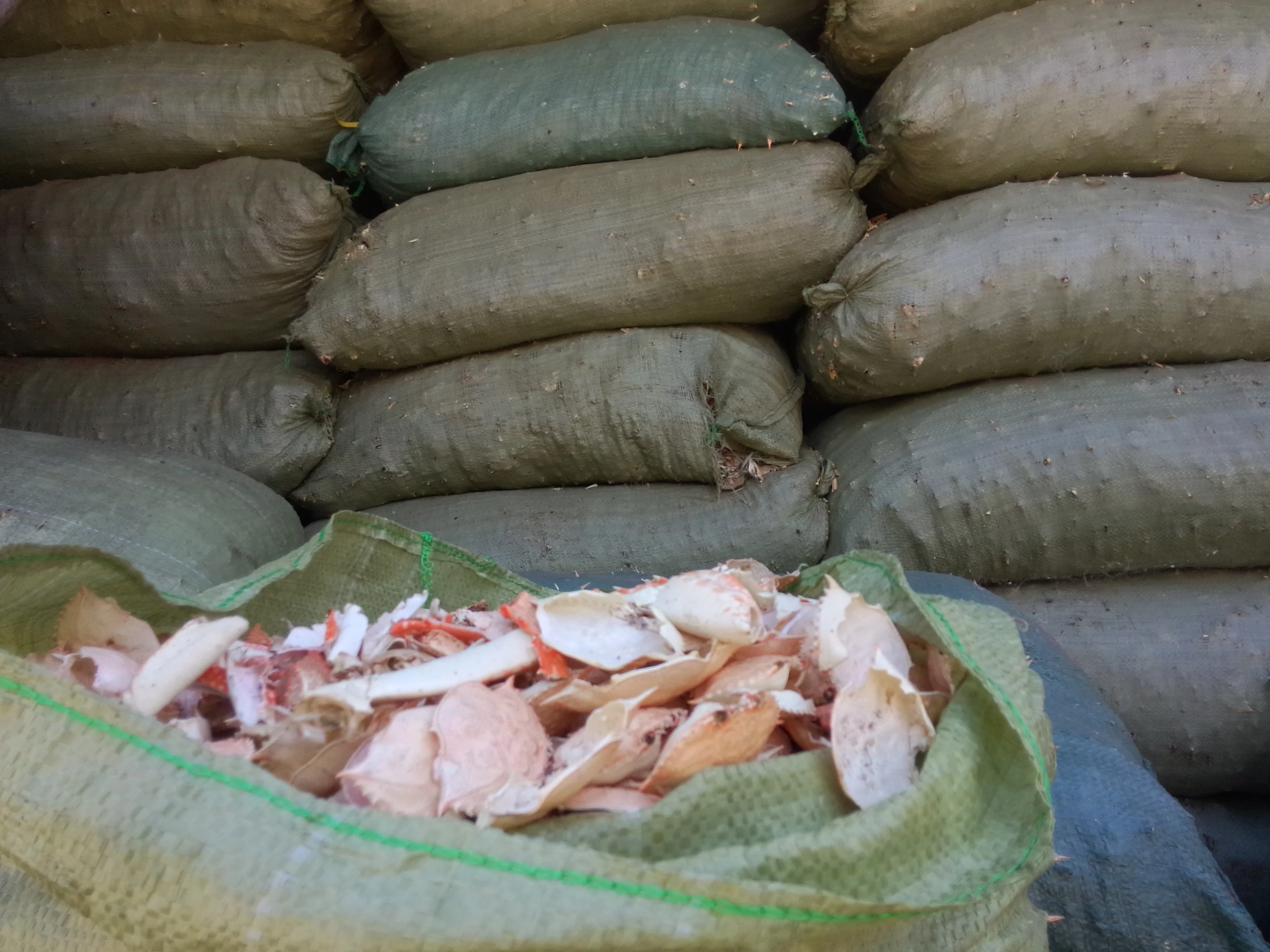 
Dried Crab Shell With The Most Comparative Price In Vietnam 