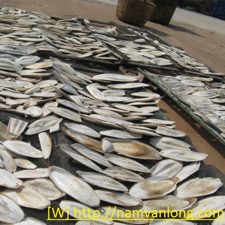 Сушеные Обрезанные рыбные кости профессиональное производство из Вьетнама чистые и высококачественные для экспорта