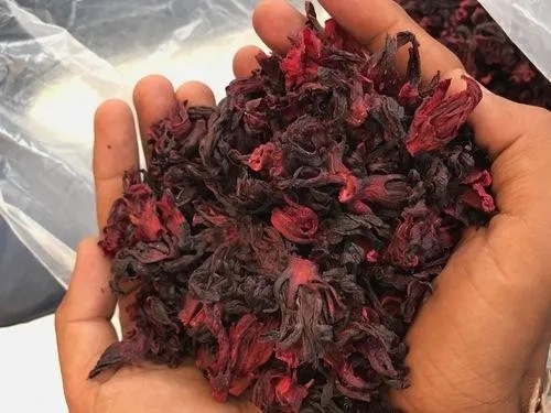 Dried Roselle Flower/ Hibiscus Flower Tea/  Dried Hibiscus  WHATSAPP +84-845-639-639