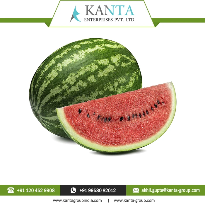 Buy Online Watermelon Essential Oil used in cosmetics as an emollient and lubricant with Low MOQ