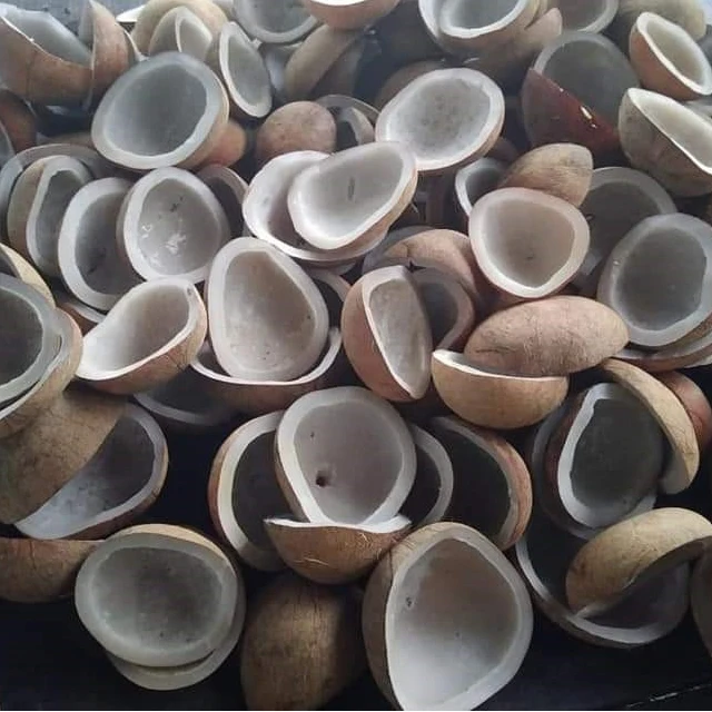 High Quality Dry Copra 100% Pure Coconut