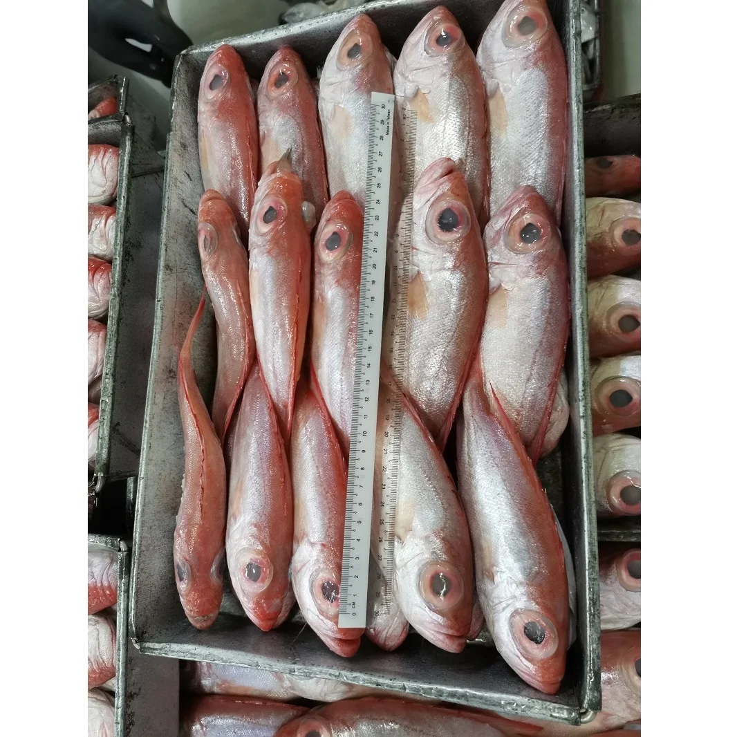 Натуральный красный цвет, замороженные круглые рыбы с большими глазами с максимальной влажностью 0.05% из малайзии