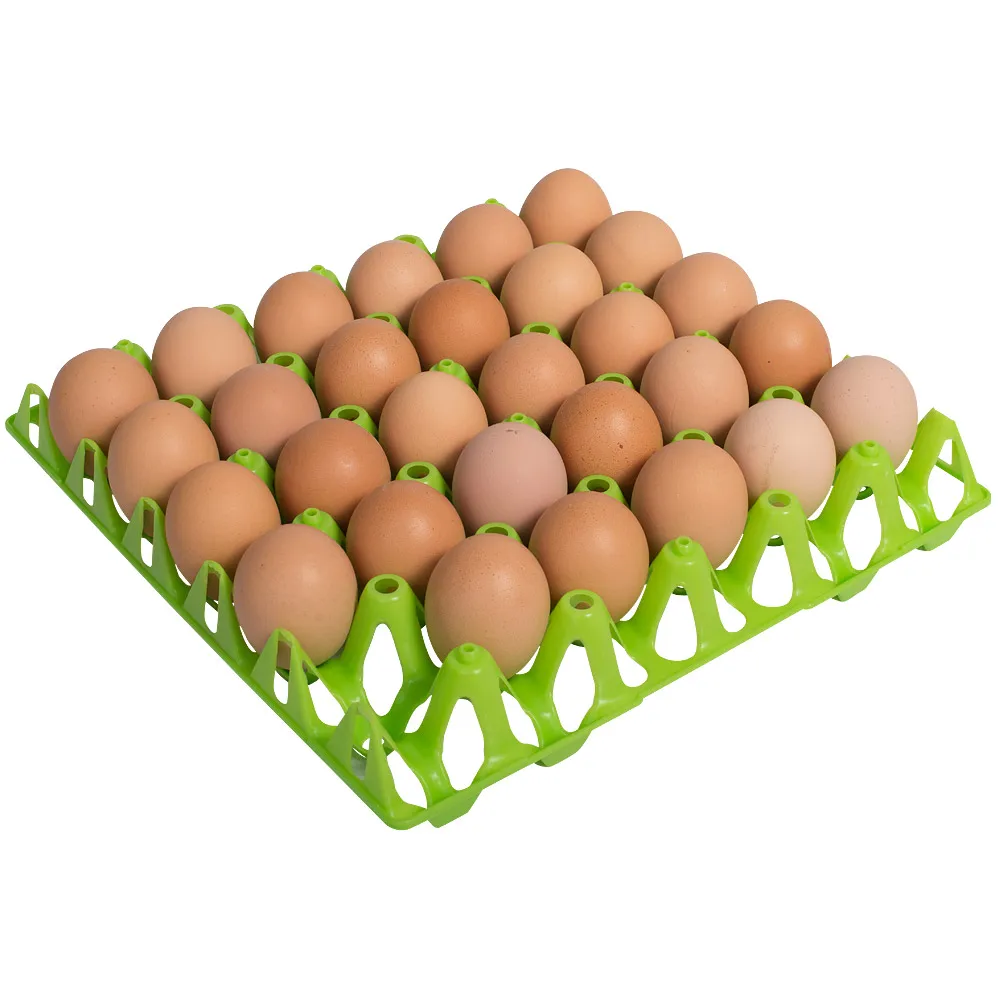 Fresh Chicken Table Eggs/Fresh Chicken Hatching EGGS At Good Prices