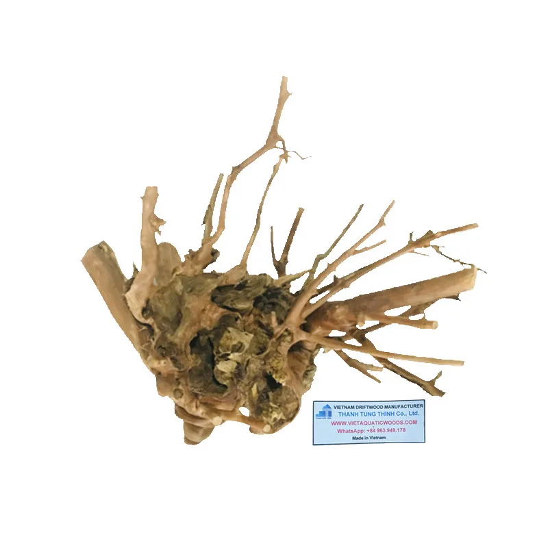 Wholesale 2022 natural aquarium driftwood for aquarium accessories WhatsApp: +84 963 949 178