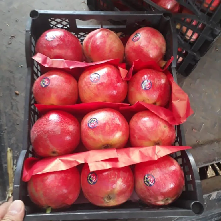 Natural pomegranate from Egypt ,supply you best quality and price