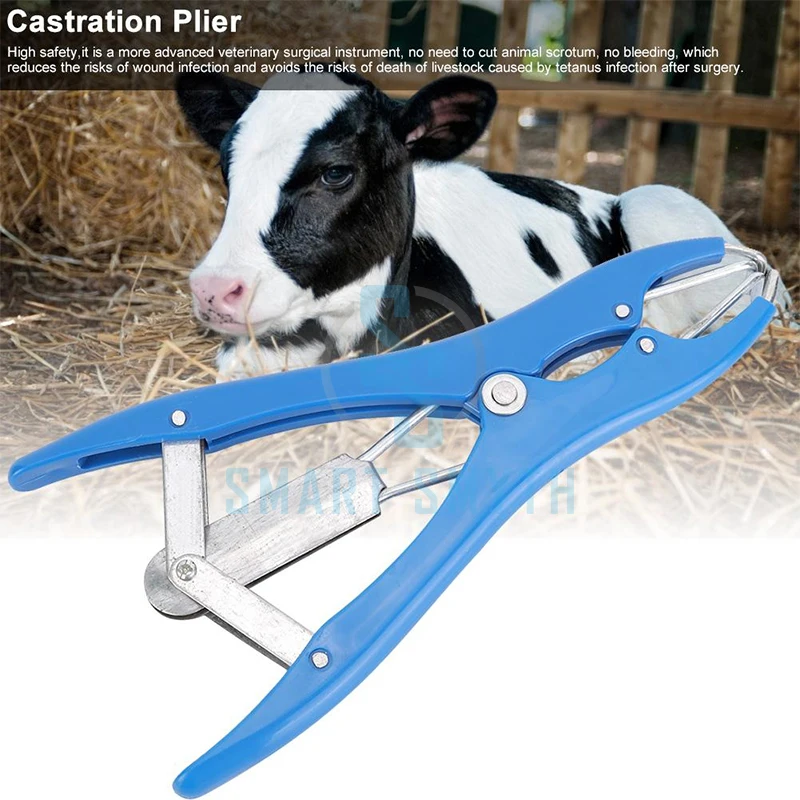 Top Design Castration Of Cattle And Sheep Farm Animals Pork Cattle Sheep Tail Docking