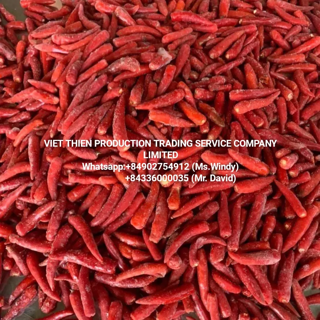 RED CHILI WHOLE FROZEN USED AS SPICES AND AS SAUCE IN GIA LAI VIETNAM AND MEET STANDARD EXPORT AND HIGH QUALITY AND GOOD PRICE