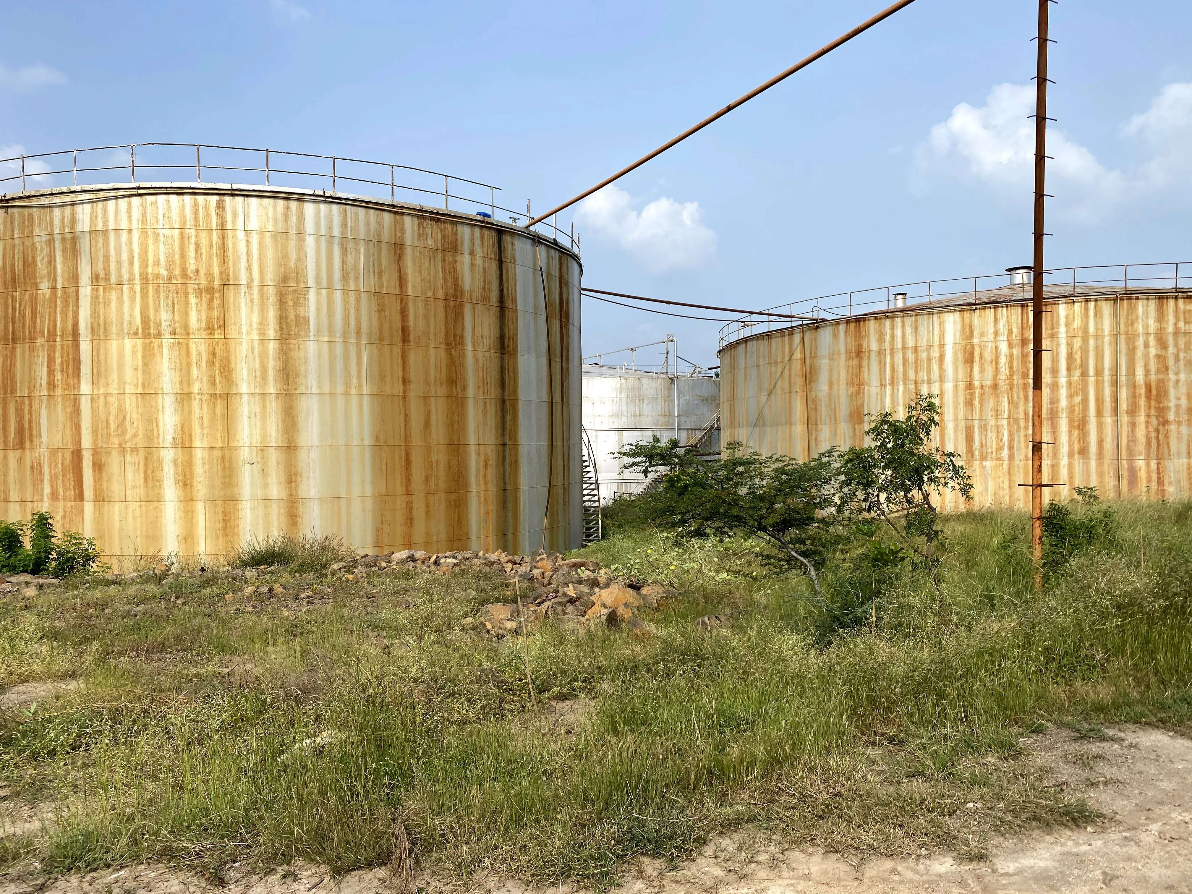 
Sugar cane molasses made from sugarcane are used in baking and candy-making and to make rum animal feed, vinegar, citric acid 