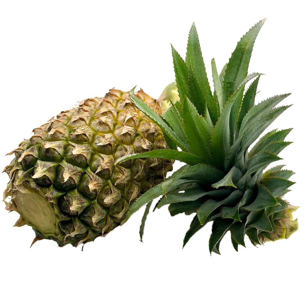 Premium Quality Fresh Pineapple Fruit Top grade Consuming 80 percent Maturity Cold room Box packing from Thailand