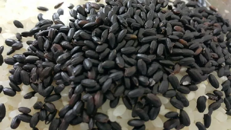  Черный рис с длинным зерном GAO NEP лидер продаж Круглый клейкий (мс Деми + 84 961 733 400)