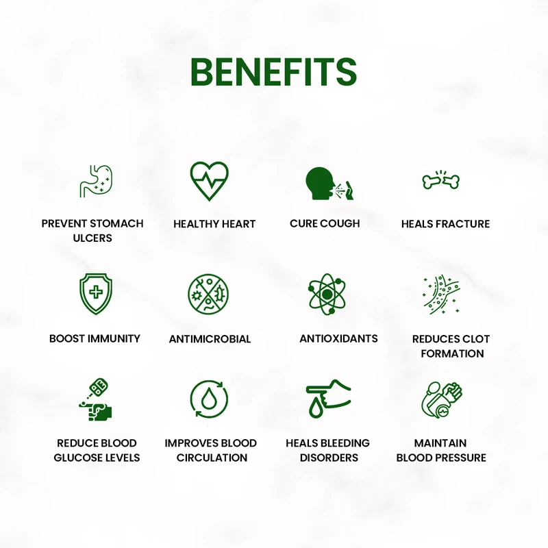 Arjuna Oragnic Powder Also Known As Terminalia arjuna