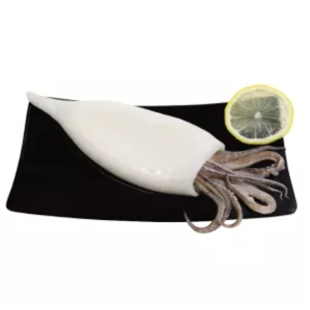 
Wholesale Good Price Frozen Calamari Ring Frozen Calamari Squid Exporter Frozen Calamari Squid For Sale 