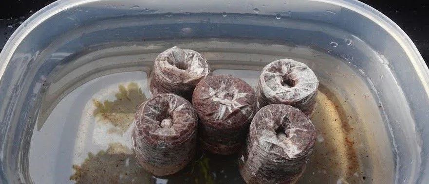 20 шт. кокосовые волокна вилки оптовая продажа койра гранулы кокосовый торф гранул для выращивания растений