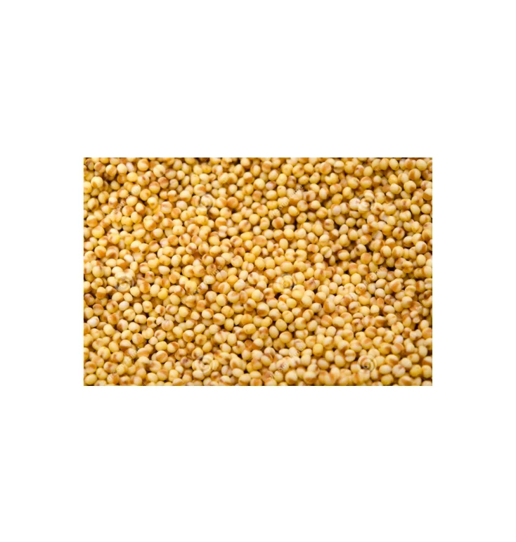 Low Price Good Quality Millet Wholesale Millet