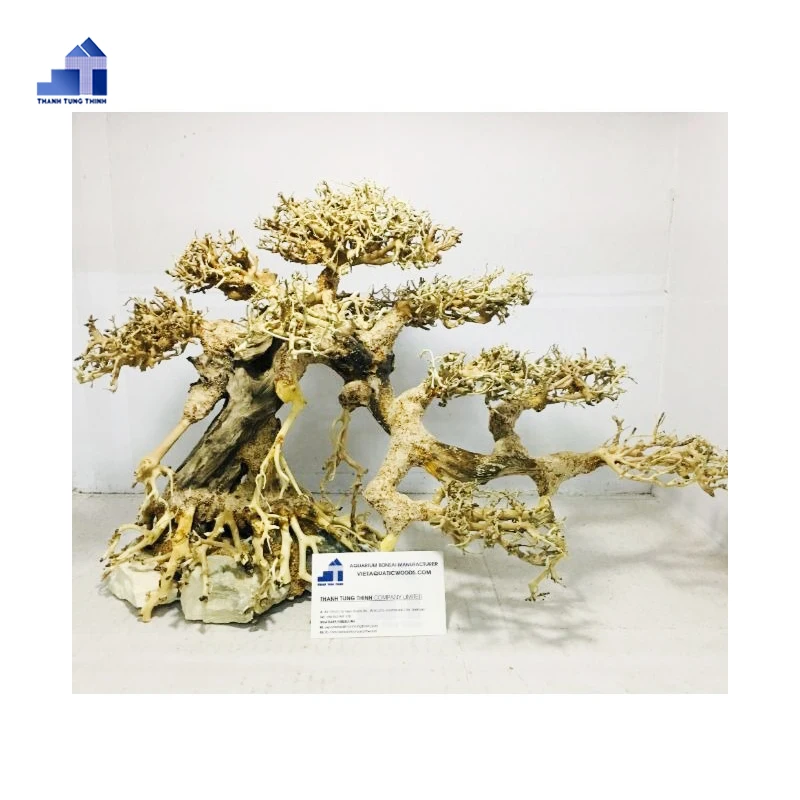 Лидер продаж натуральные коряги бонсай для аквариума ландшафтный дизайн WhatsApp + 84 961005832