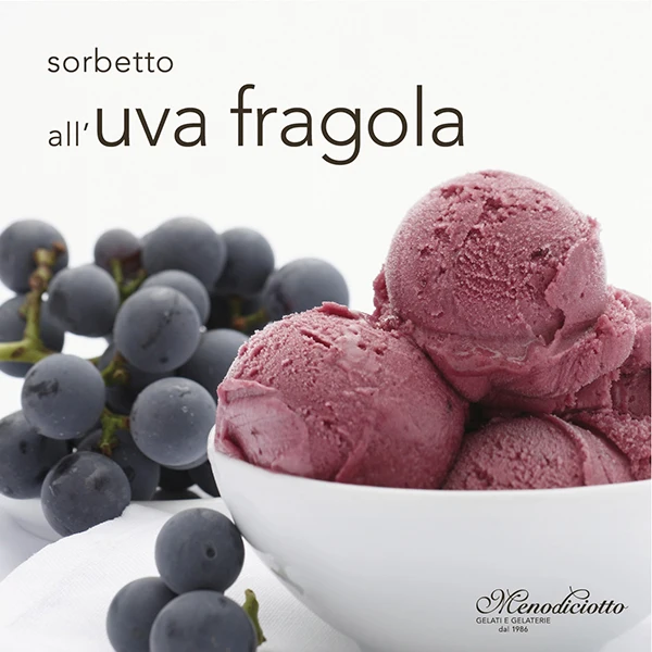 American Grape Ice cream - Sorbet - Made in Italy - 2.5Lt tub - for HORECA - suitable for vegan - ready to serve